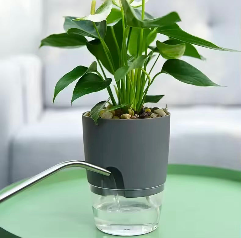 Self Watering Flower Pot