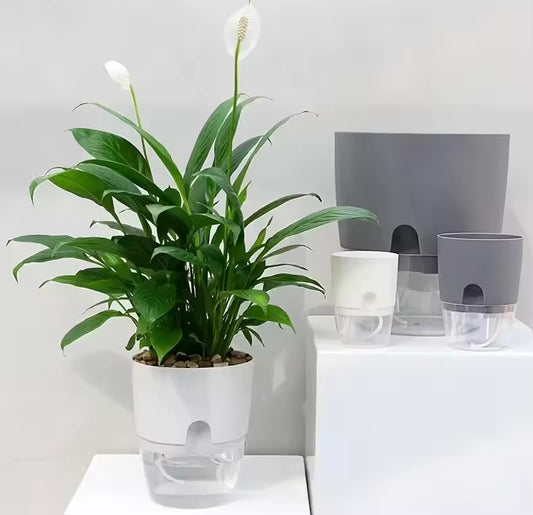 Self Watering Flower Pot